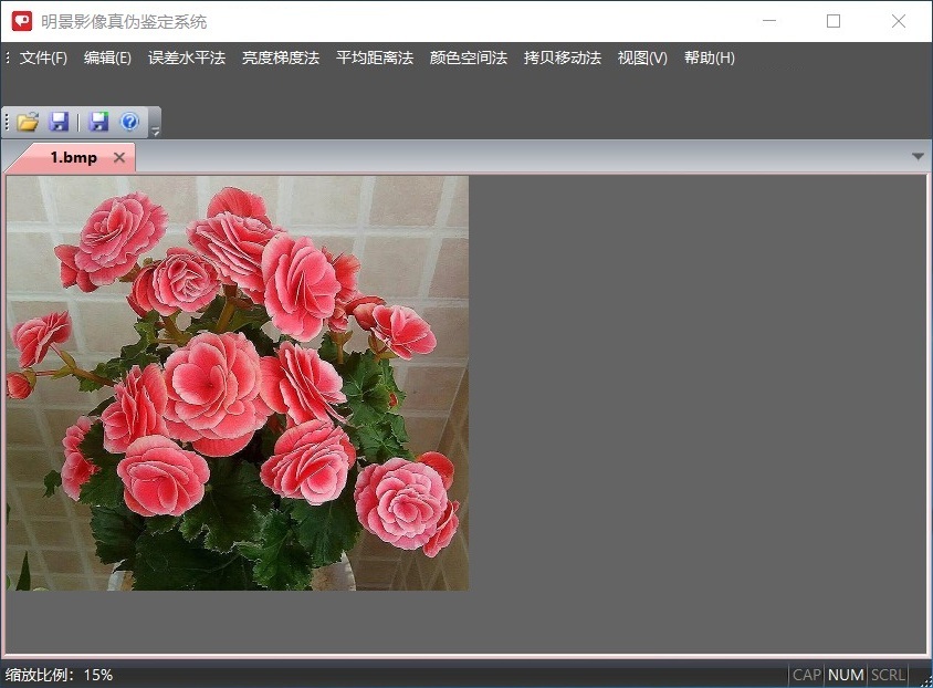 豪门国际官网影像真伪鉴定系统