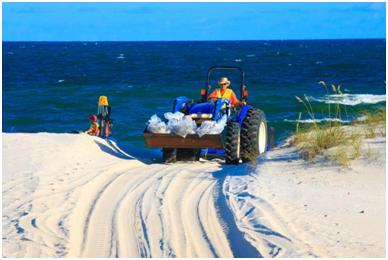 豪门国际官网影像真伪鉴定系统